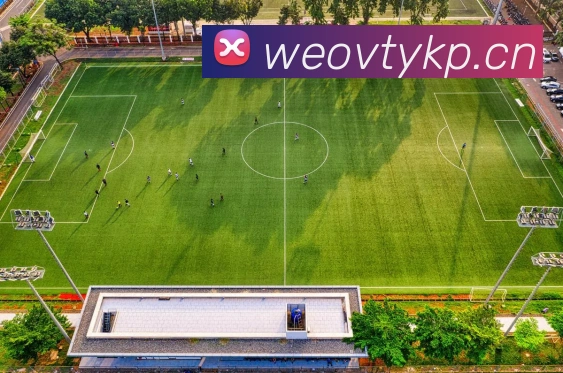 乐鱼官方网站在线登录APP 封面图